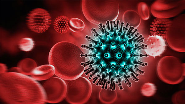 Virus suy giảm miễn dịch ở người - HIV