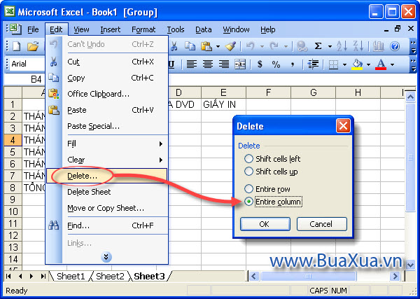 Cách xóa bớt cột trong Excel 2003