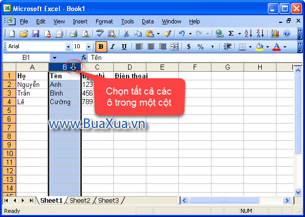 Chọn tất cả các ô trong một cột hoặc hàng Excel 2003
