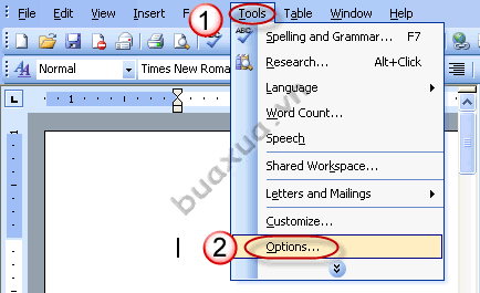 Truy cập vào trình đơn Tools và chọn Options trong MS Word 2003