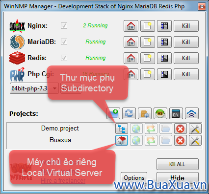 Subdirectory và Local Virtual Server