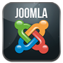 Joomla! Pro Support
