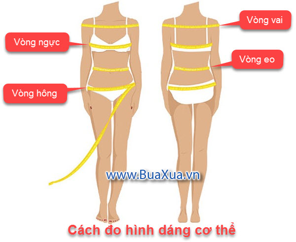 Cách lấy số đo các vòng trên cơ thể