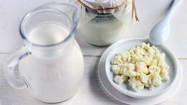 Sữa chua Kefir