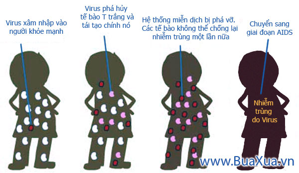 Các giai đoạn nhiễm HIV AIDS