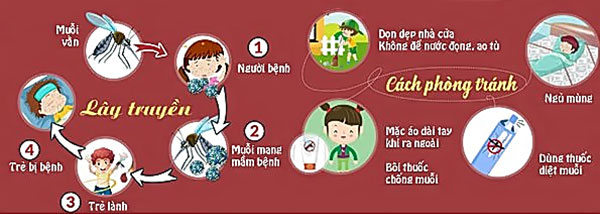 Cách phòng tránh sốt xuất huyết