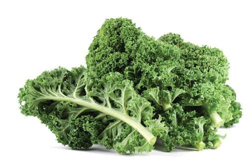 Cải xoăn là một trong những nguồn tốt nhất cung cấp Lutein