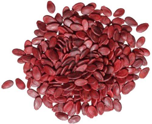 Hạt dưa có chứa những chất dinh dưỡng thiết thực cho cơ thể