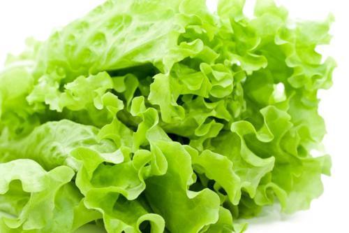 Rau xà lách giúp tăng cường chức năng não