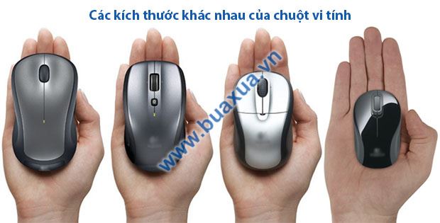 Các kích thước khác nhau của chuột vi tính