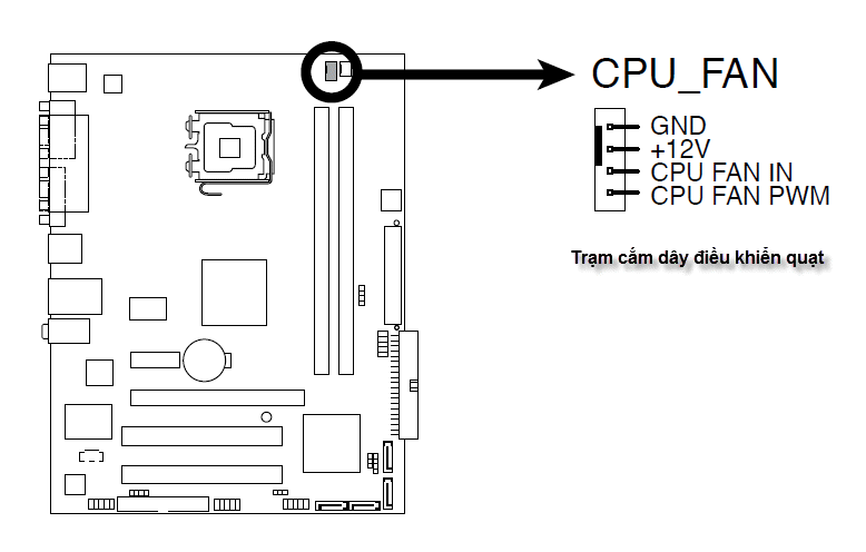 Cắm dây điện của quạt vào trạm cắm trên mainboard