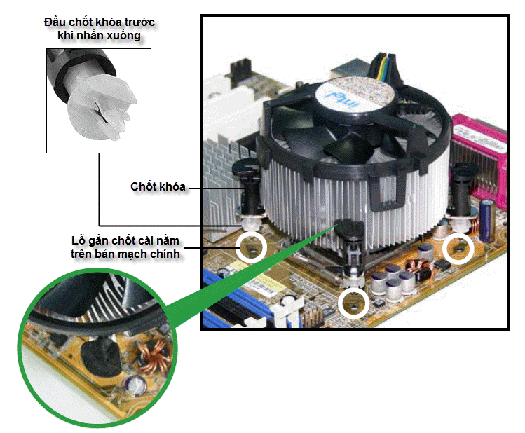 Đặt bề mặt tản nhiệt của quạt áp lên lưng của CPU
