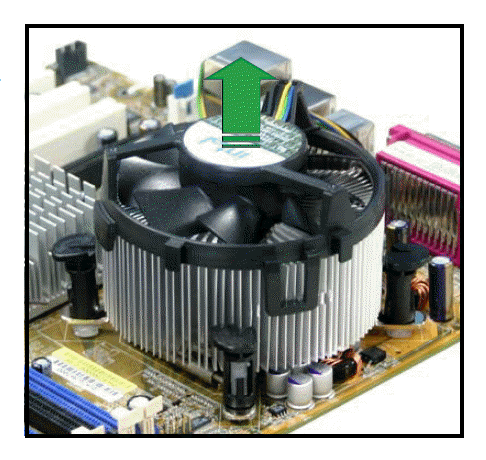 Nhấc quạt ra khỏi mainboard.