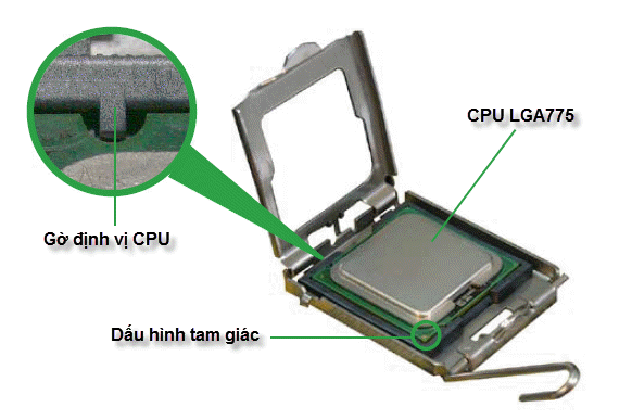Lắp cpu vào socket lga775