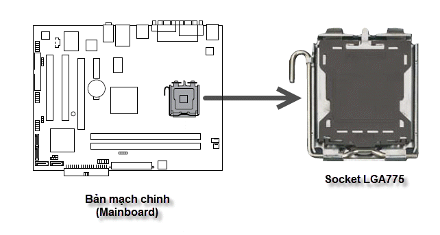 Vị trí socket LGA775 trên mainboard