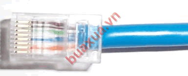 Đầu dây cáp mạng chuẩn RJ45