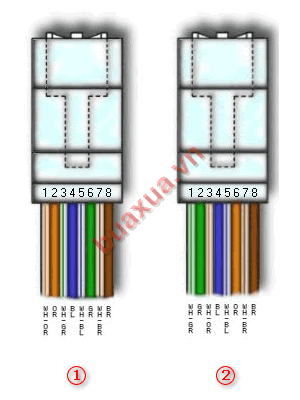 Gắn dây cáp vào đầu cắm RJ45 theo kiểu bấm chéo