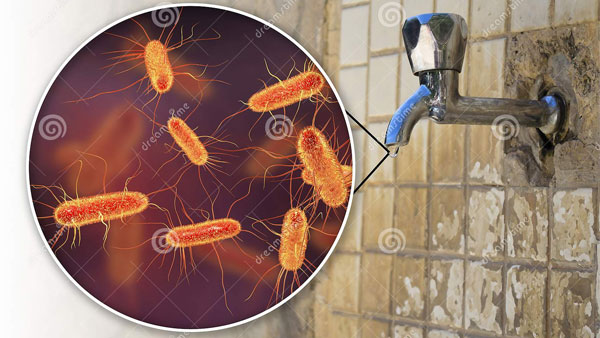Bề mặt ẩm ướt của một chiếc vòi nước công cộng có thể là nơi trú ngụ lý tưởng cho vi khuẩn và một số virus gây bệnh