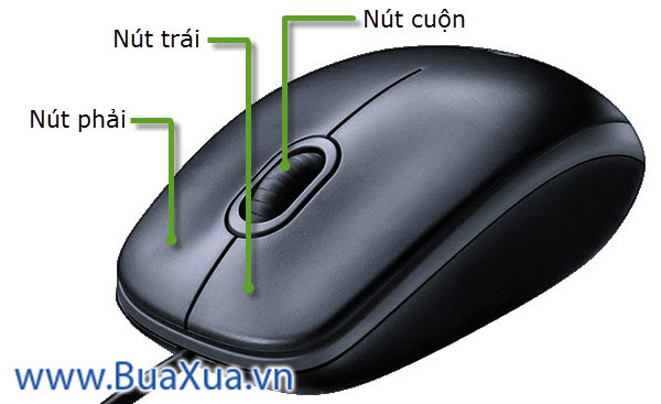 Các nút của chuột vi tính