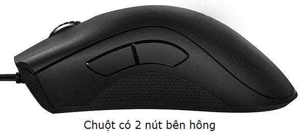 Chuột có 2 nút bên hông