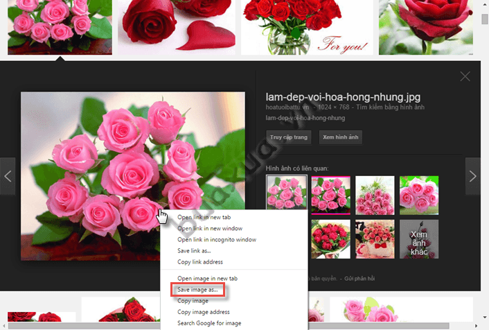 Nhấn nút phải chuột lên ảnh và chọn Save image as... để lưu hình ảnh