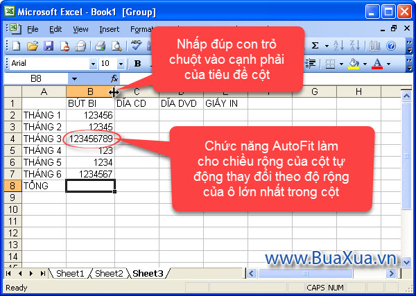 Cách sử dụng AutoFit để tự động thay đổi chiều rộng của cột cho vừa với dữ liệu trong excel 2003