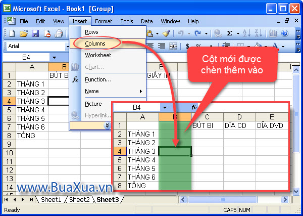 Cách Chèn Thêm Hoặc Xóa Bớt Cột Và Hàng Trong Excel 2003 - Buaxua.Vn