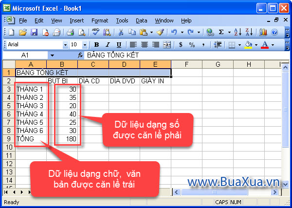 Excel 2003 tự động căn lề trái cho các dữ liệu có dạng văn bản và căn lề phải cho các giá trị dạng số