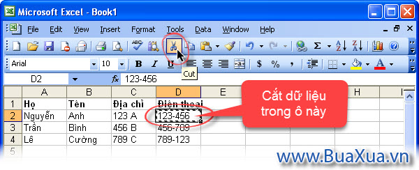 Cắt dữ liệu trong ô để lưu vào Clipboard