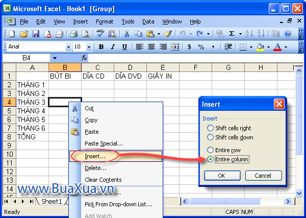 Cách Chèn Thêm Hoặc Xóa Bớt Cột Và Hàng Trong Excel 2003 - Buaxua.Vn