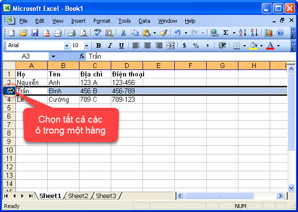 Chọn tất cả các ô trong một hàng Excel 2003