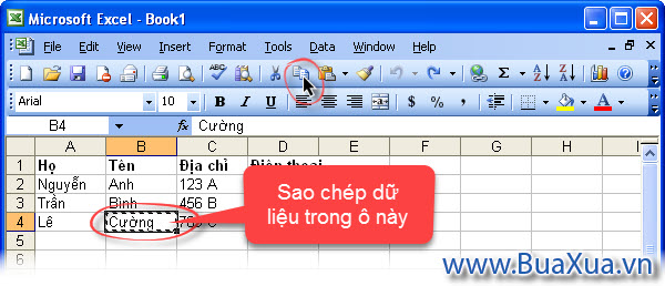 Sao chép dữ liệu trong ô để lưu vào Clipboard