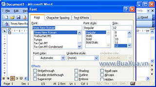 Cách thiết lập Font chữ mặc định trong MS Word 2003