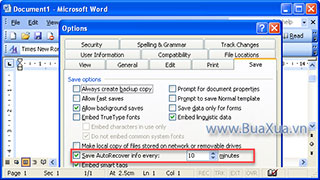 Cách thiết lập thời gian tự động lưu trong MS Word 2003