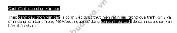 Chọn nhiều đoạn hoặc dòng văn bản ở vị trí khác nhau