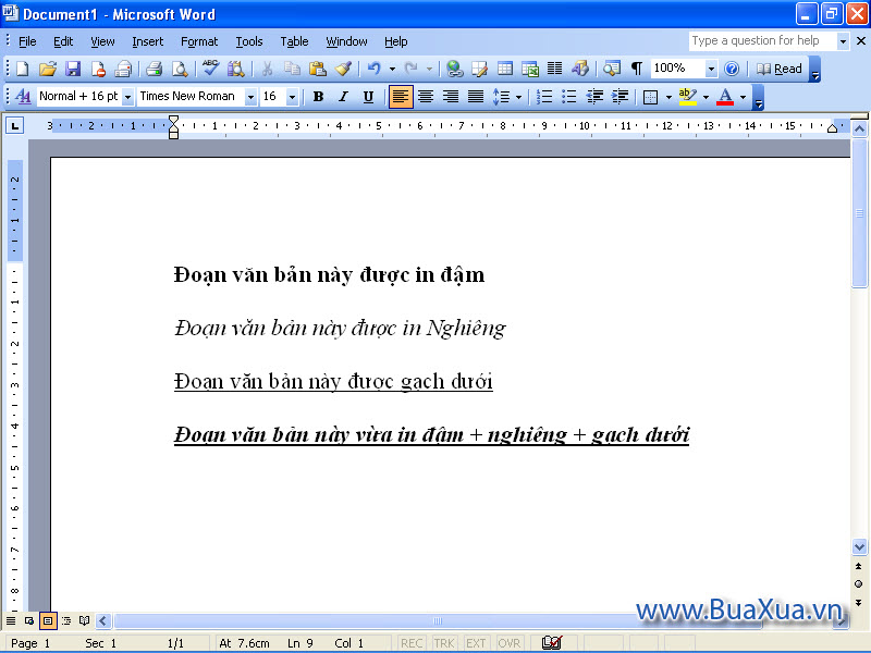 Định dạng nhiều kiểu khác nhau cho cùng một văn bản trong MS Word 2003