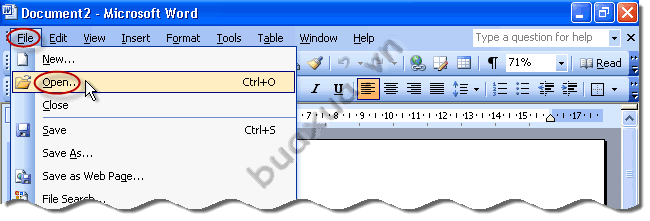 file open