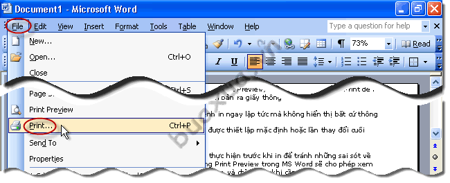 Thực hiện lệnh in bằng cách truy cập vào trình đơn File và chọn Print