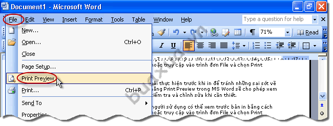 vào trình đơn File và chọn Print Preview