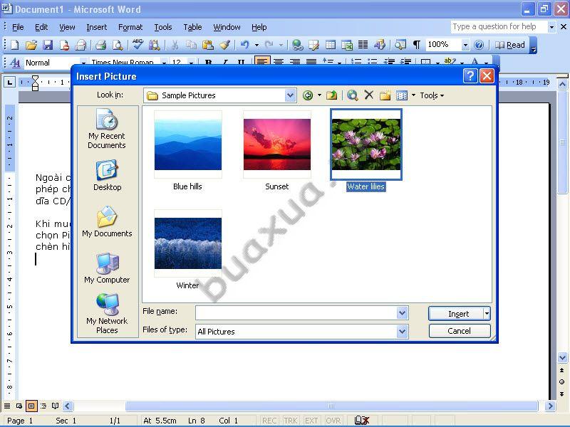 Cách Chèn Hình Ảnh Từ Bên Ngoài Vào Văn Bản Trong Ms Word 2003 - Buaxua.Vn