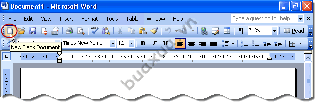New Blank Document