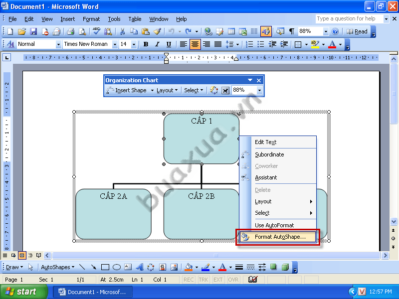 Chọn Format AutoSharp để thay đổi màu sắc và đường nét cho khối