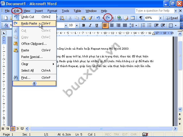Sử dụng chức năng Redo