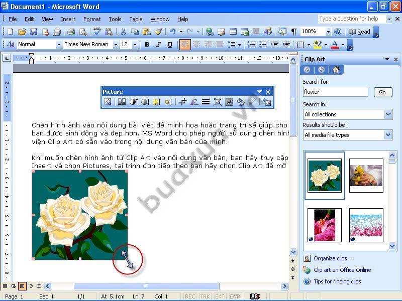 Phóng to hoặc thu nhỏ clip art