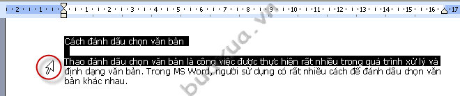 Chọn một hoặc nhiều dòng văn bản liên tiếp