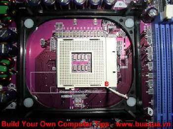 Gắn CPU vào đế cắm