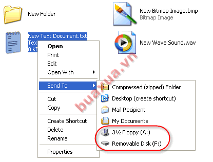 Sao chép (Copy) tập tin hoặc thư mục vào thiết bị lưu trữ bên ngoài (Dĩa mềm, USB,...)