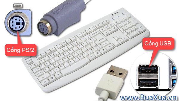 Cắm dây bàn phím vào máy vi tính