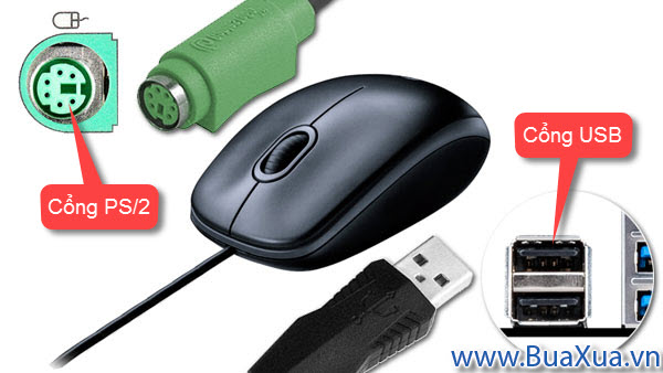 Cắm dây chuột vào máy vi tính