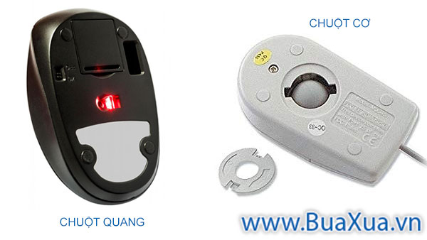Chuột là một công cụ quan trọng để giao tiếp với máy tính